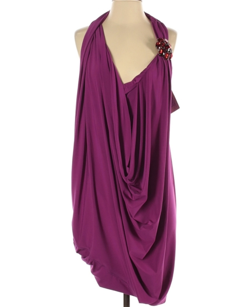 Fashionista Purple NWT Dress 3X removable Red Broach